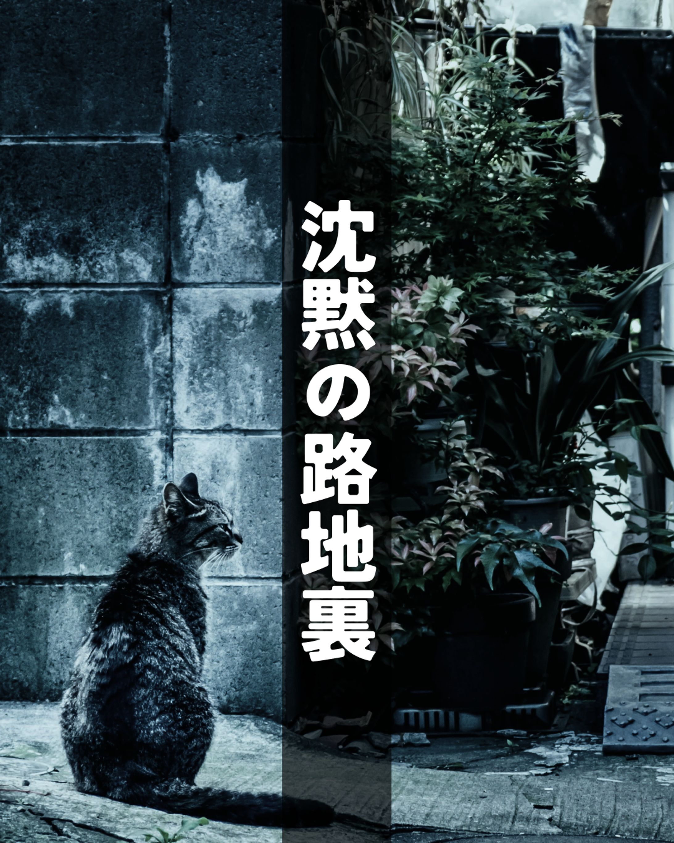 沈黙の路地裏-1