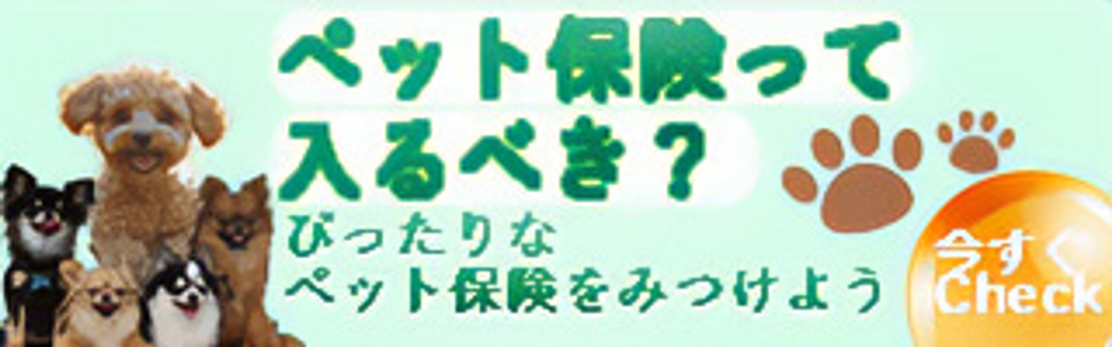 ペット保険-1