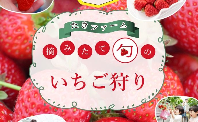 いちご狩り訴求バナー