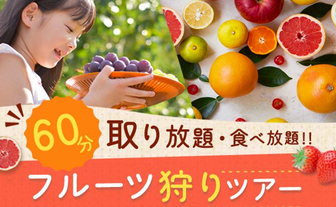 バナー：フルーツ狩りツアー
