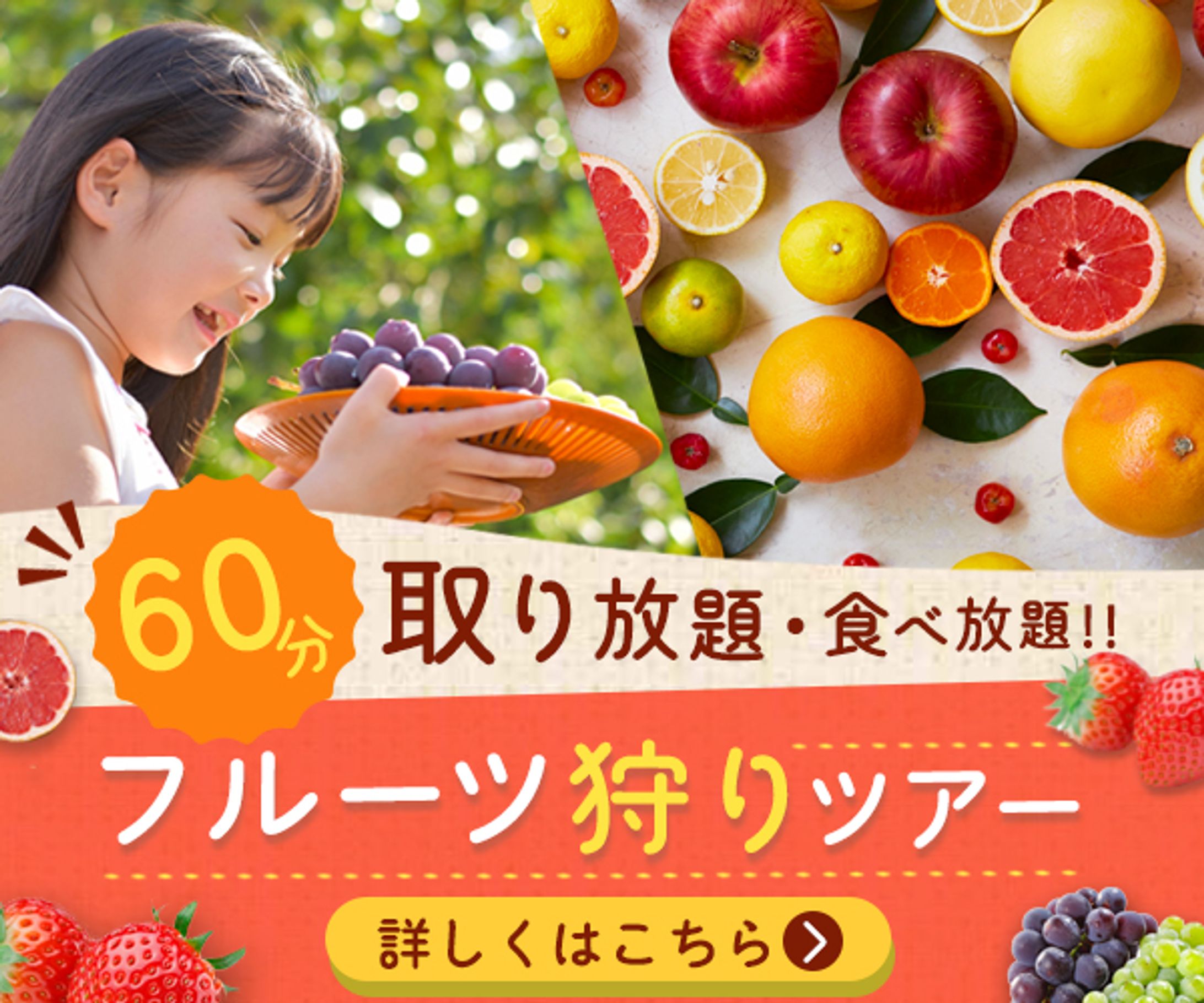 バナー：フルーツ狩りツアー-1