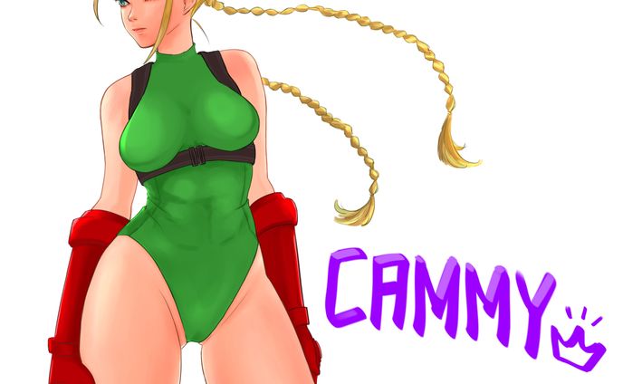 cammy from streetfighter