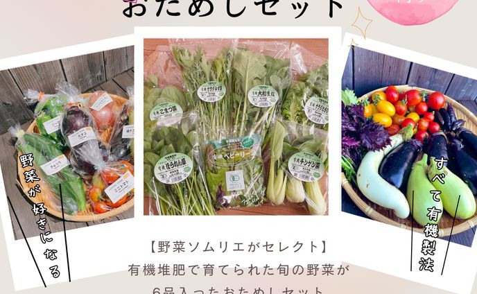 ECサイト_商品紹介②