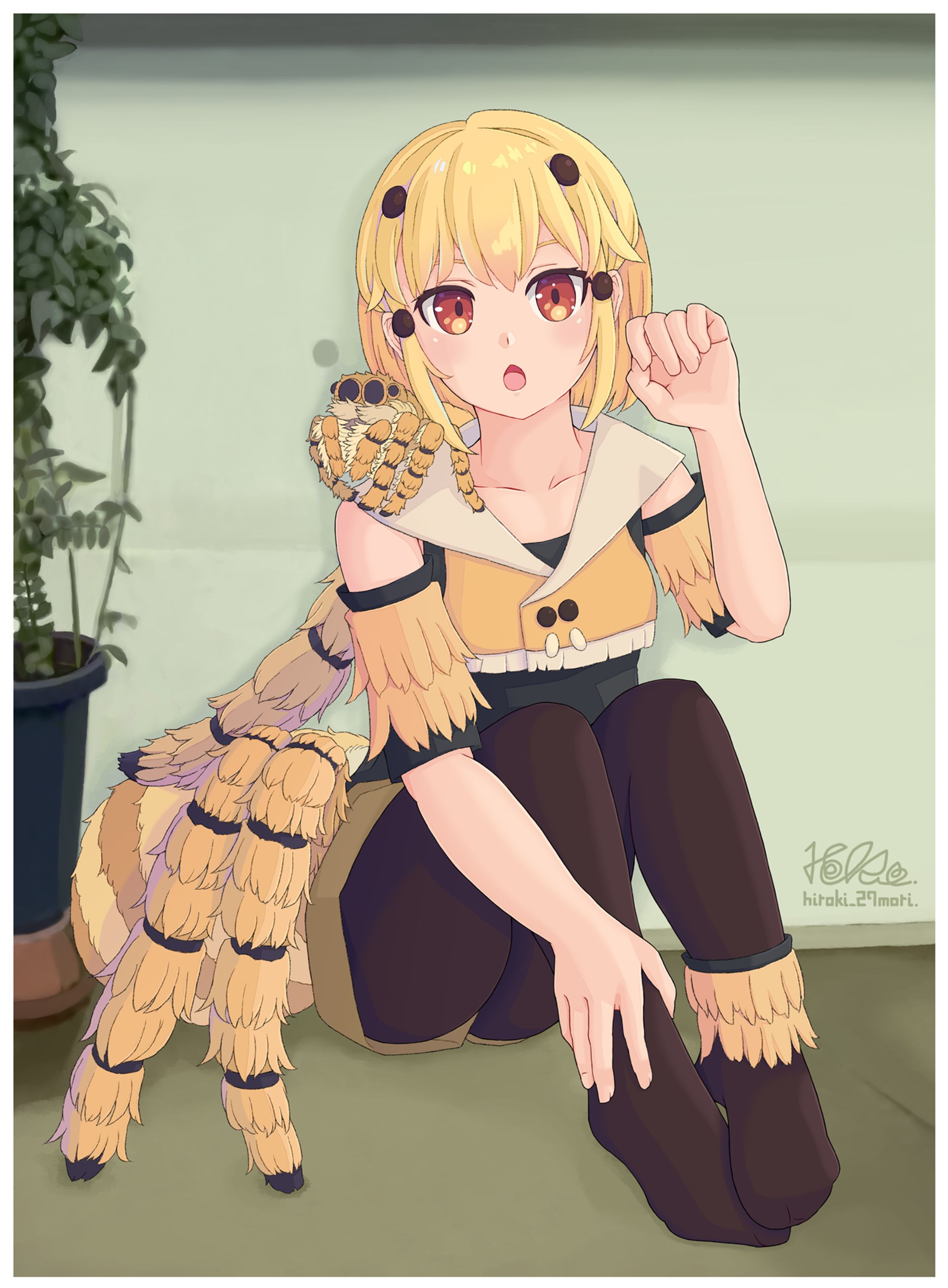 ハエトリグモの彼女、こっち向く。-1