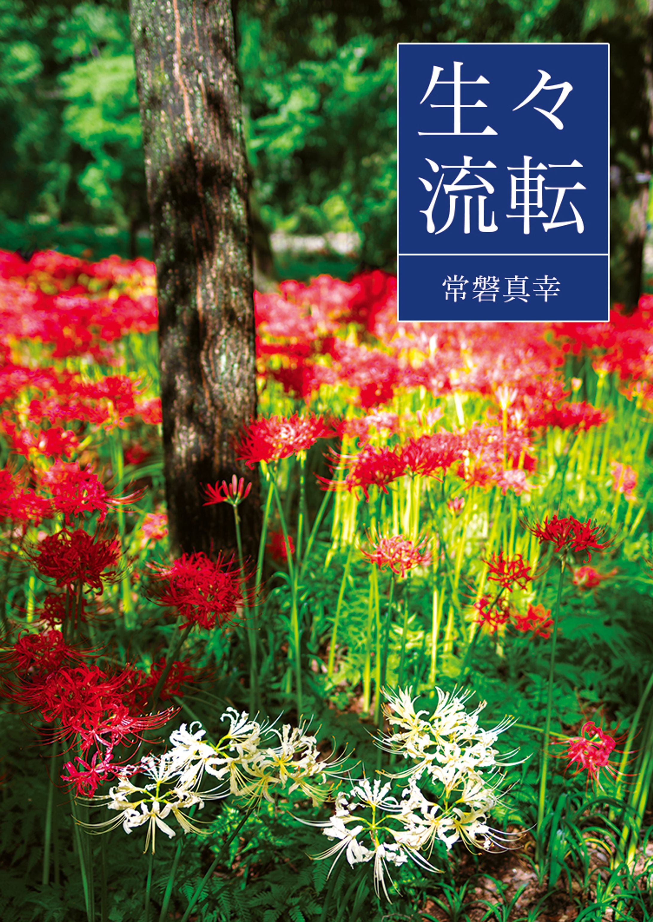 写真詩集「生々流転」-1