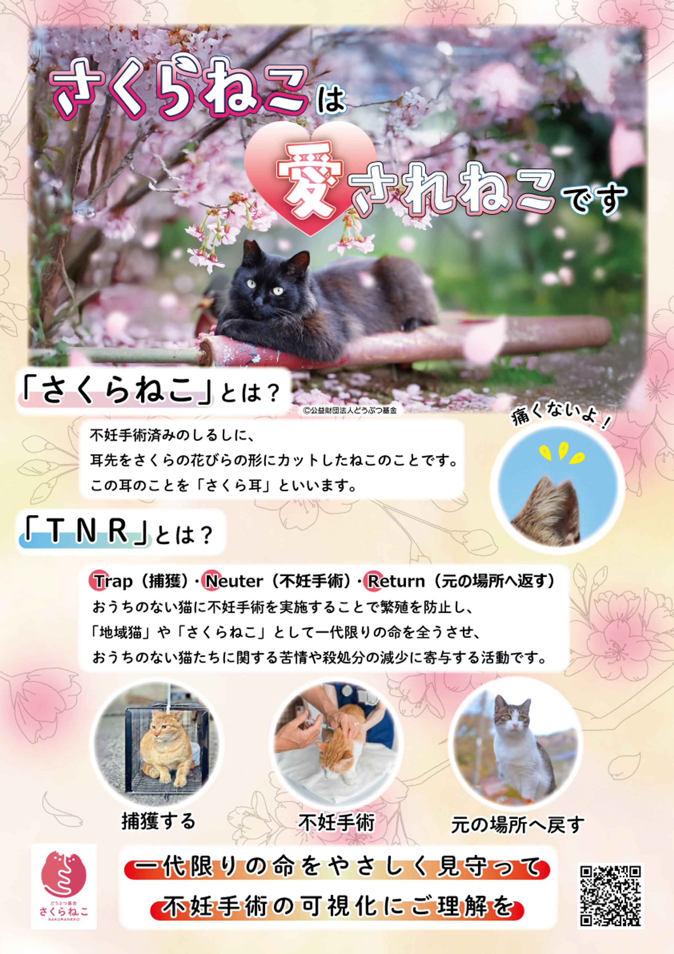 【実績掲載】どうぶつ基金様確認済｜さくらねこ啓発ポスター（A3サイズ）-1