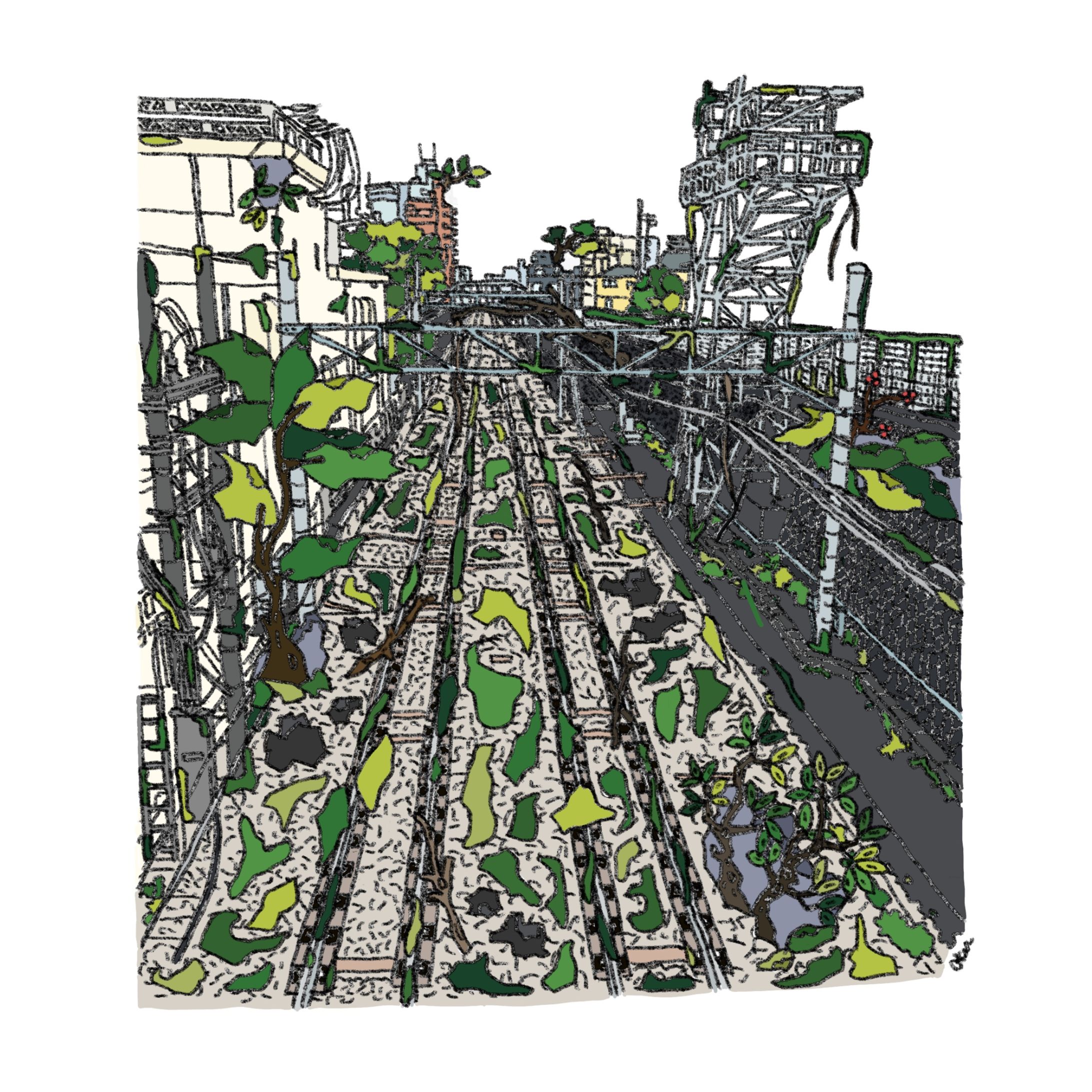 NATURE & RAIL LINE-1