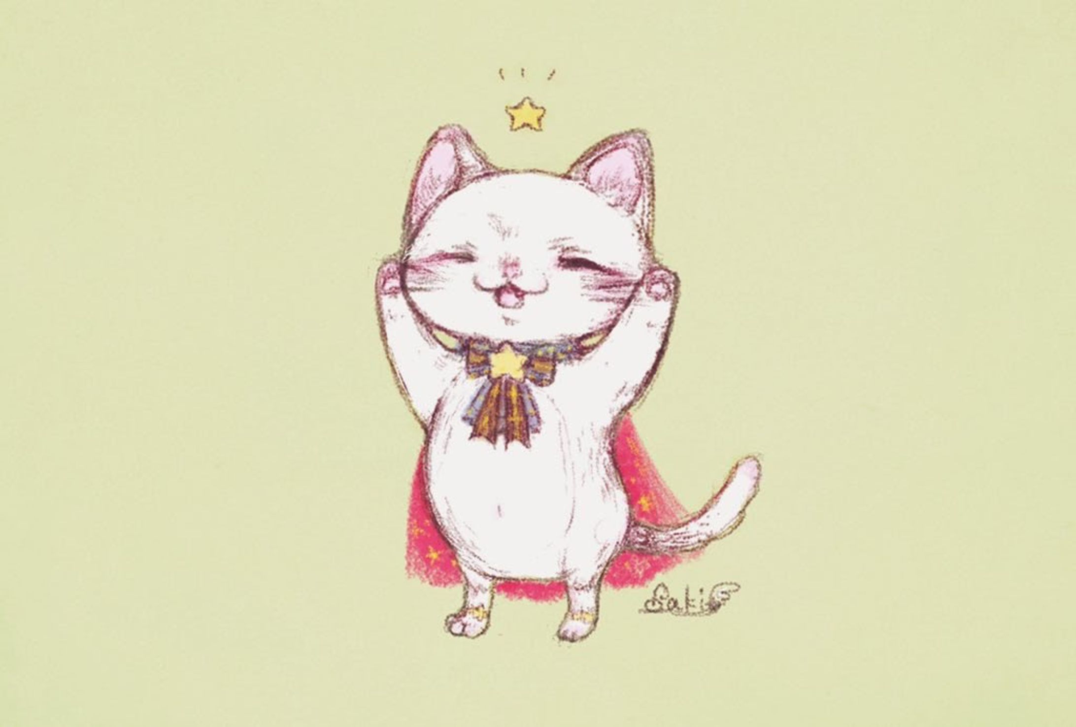 スーパー猫-1