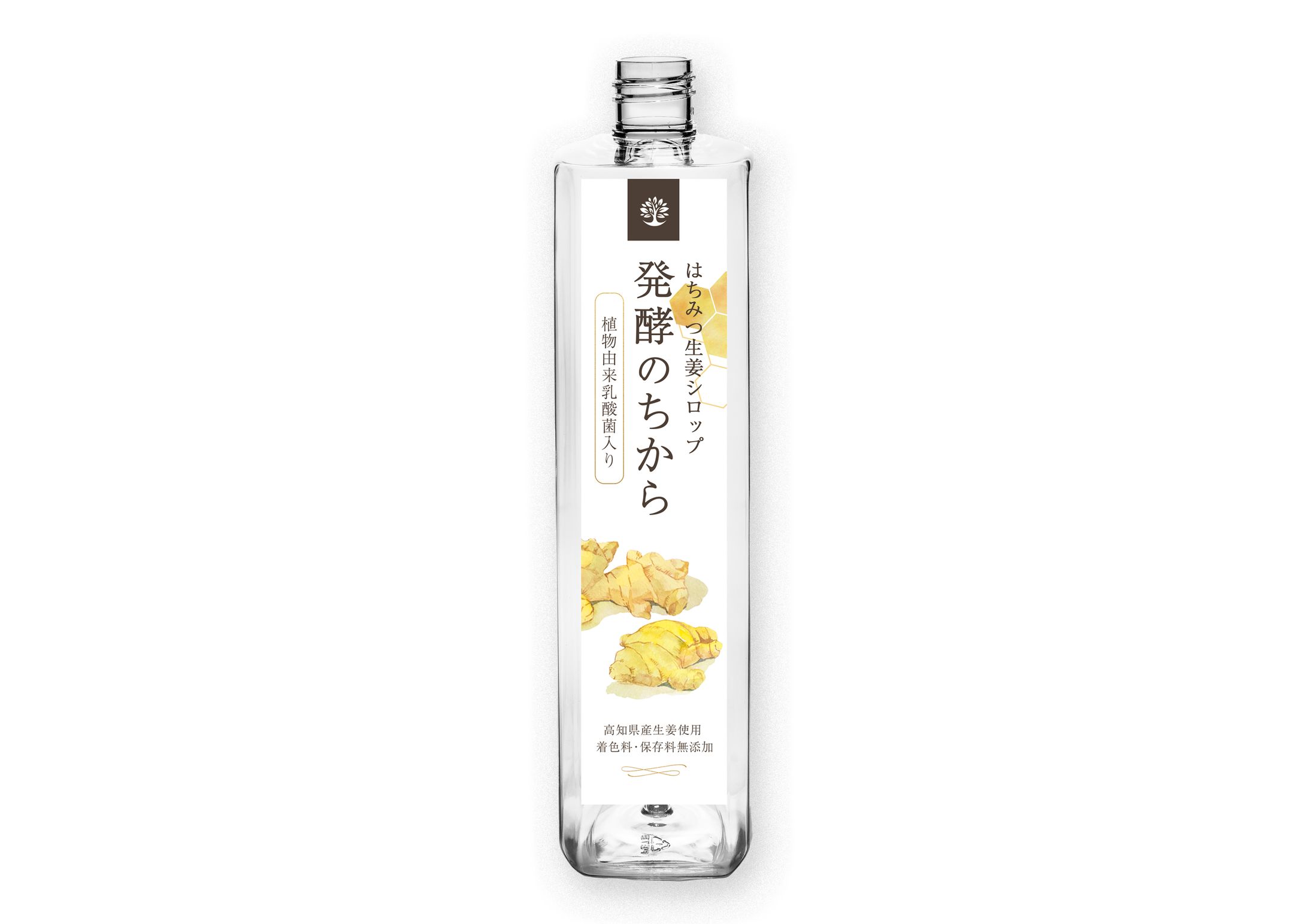 【実務案件】発酵生姜シロップのラベルデザイン-1