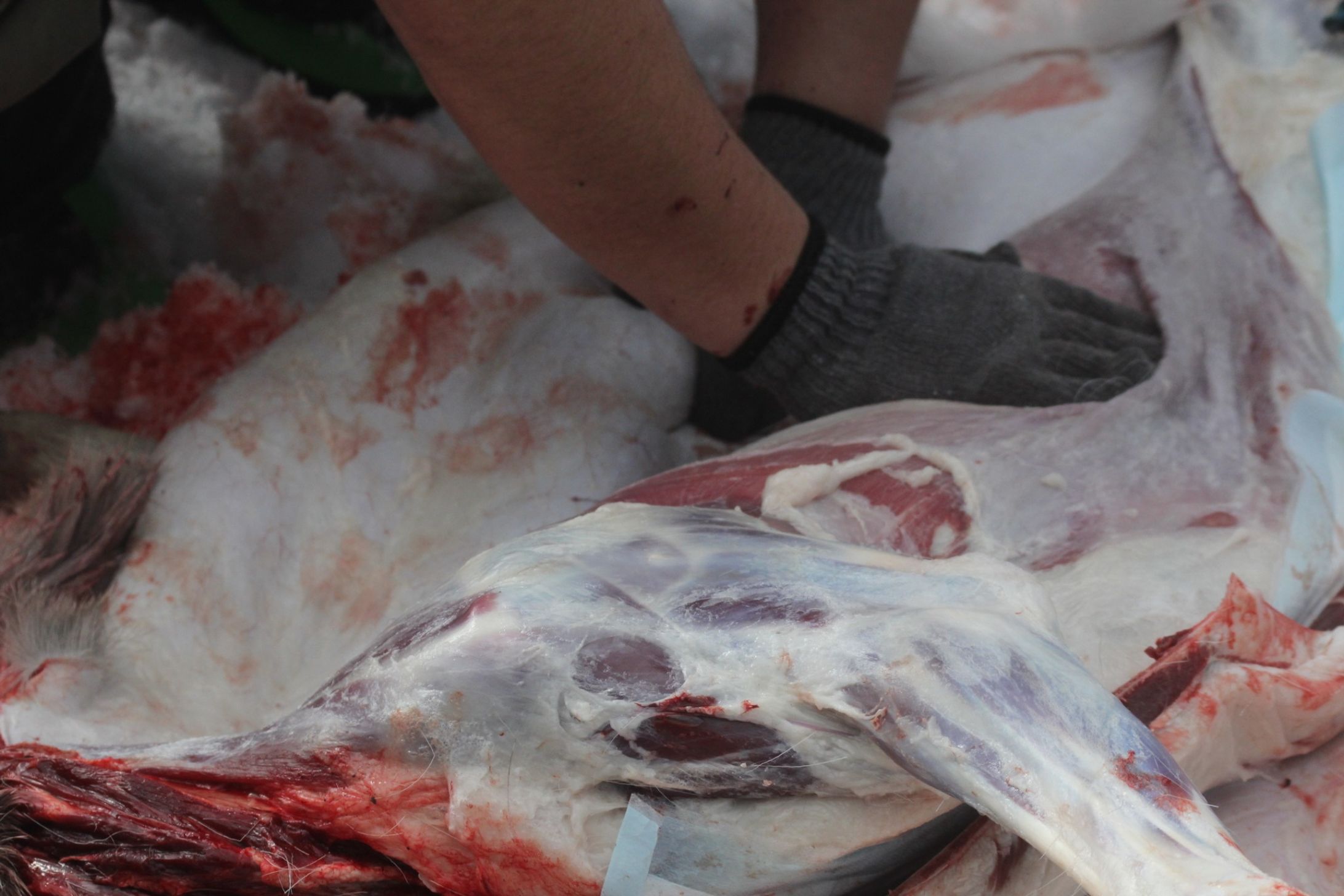 【Process】lether 製作過程-1