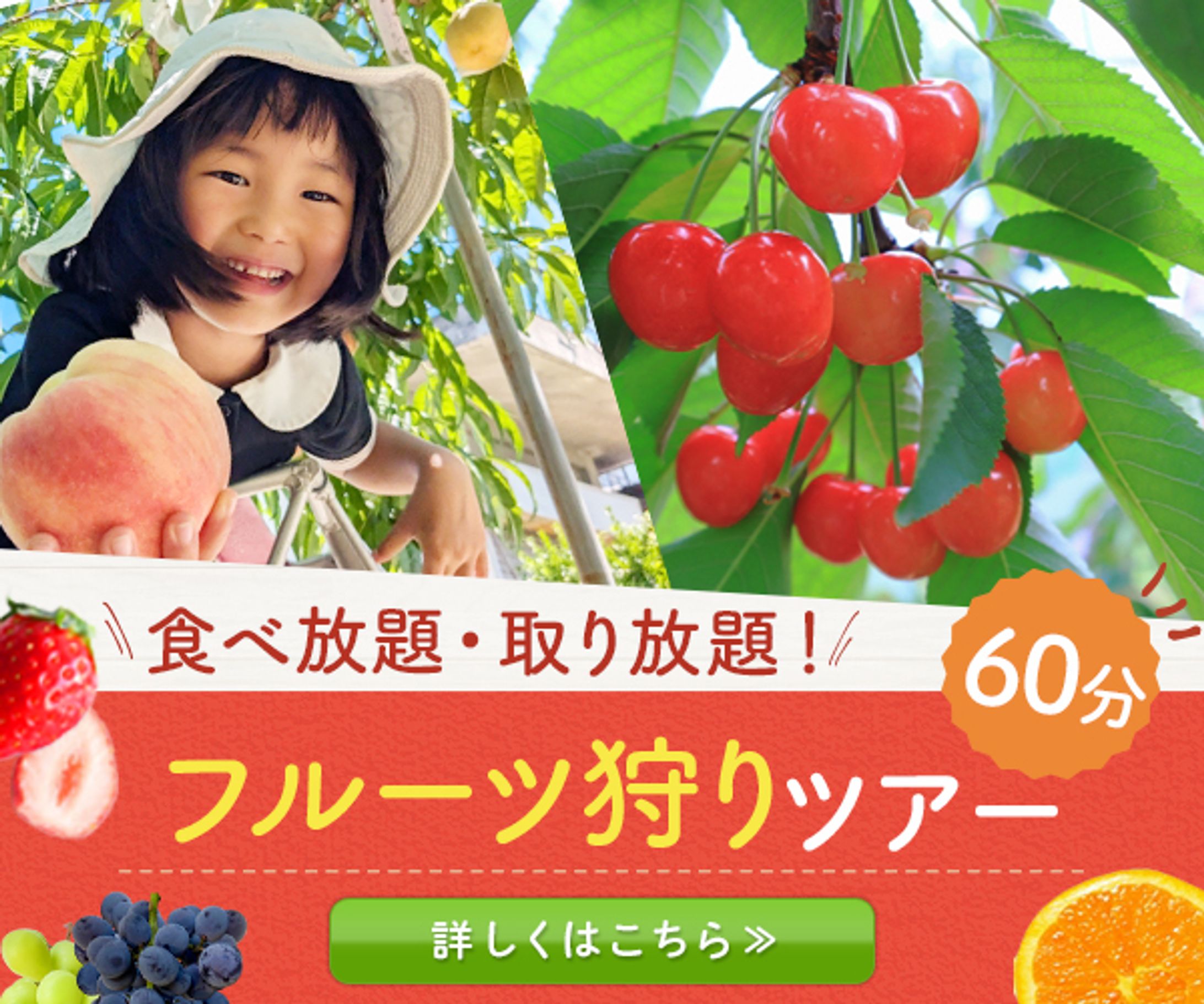 バナー：フルーツ狩り-1