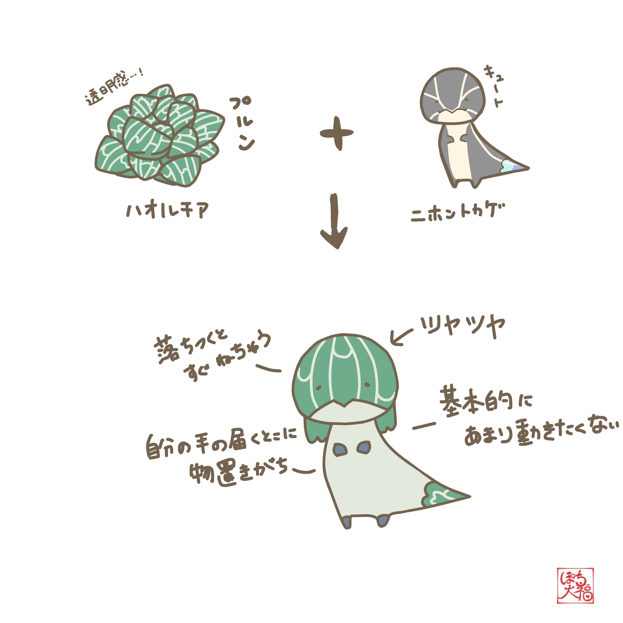 ハオルチア×ニホントカゲ-1