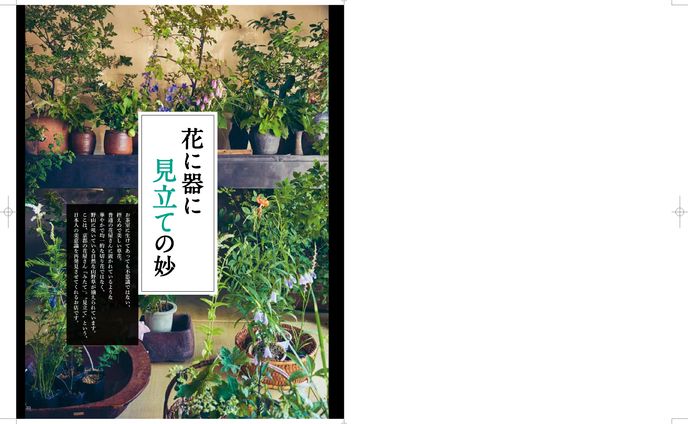ライティング、動物