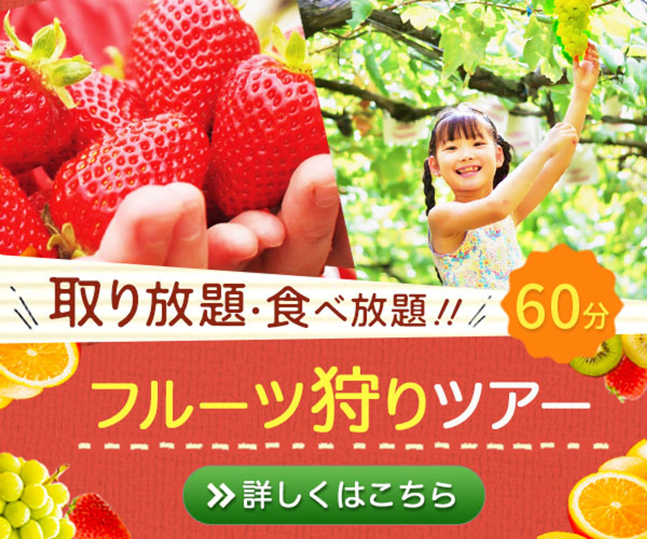 バナー：フルーツ狩りツアー-1