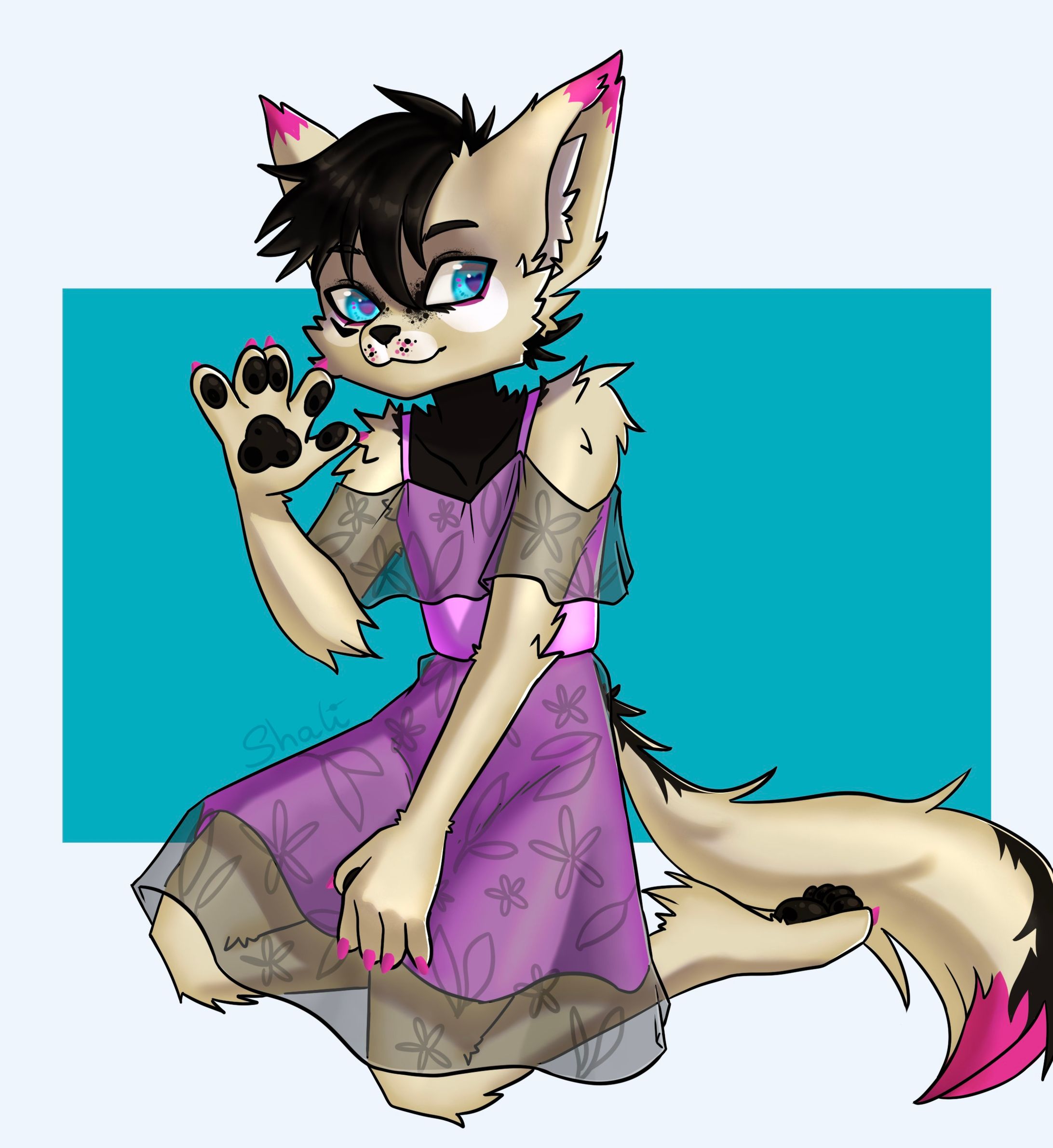 Commission for @/Caravanviva on Twitter-1