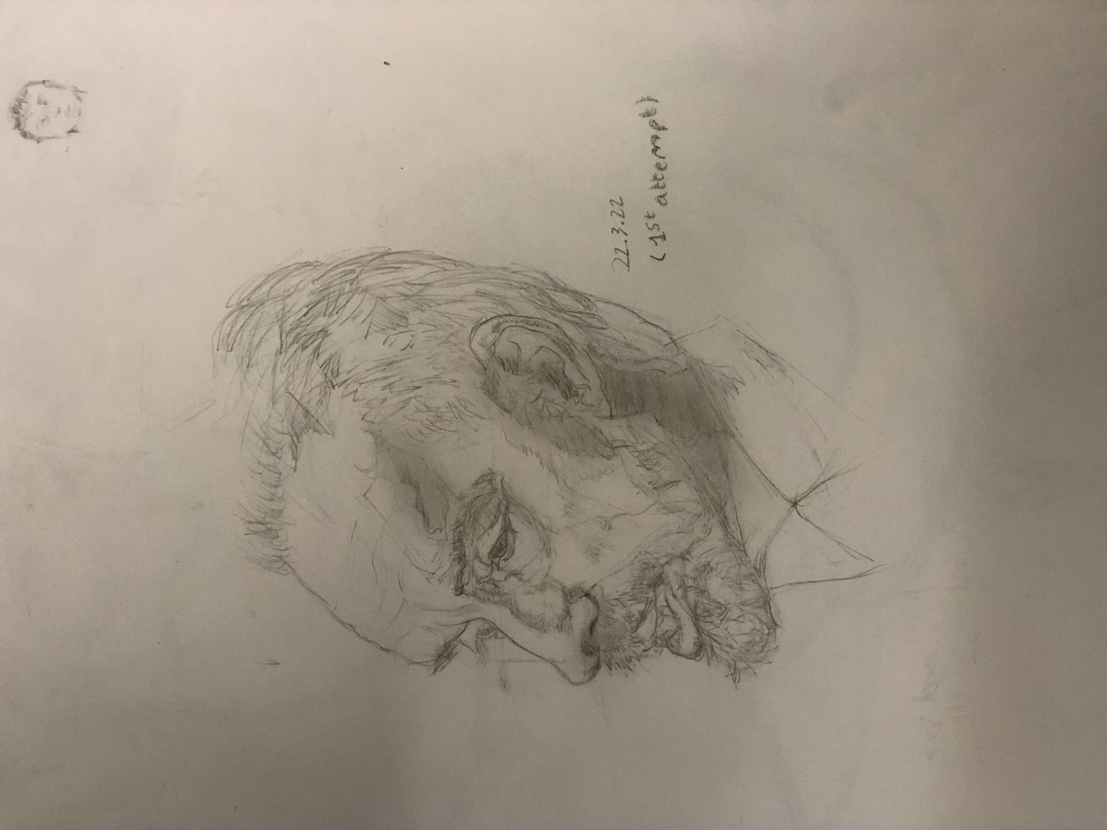 J. B. PETERSON-1
