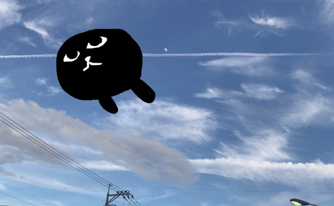 ねこ