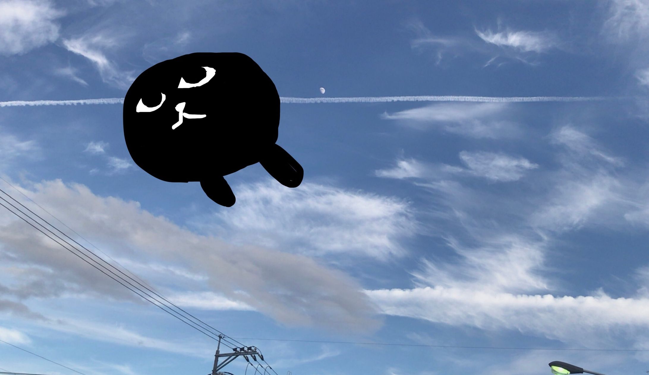 ねこ-1