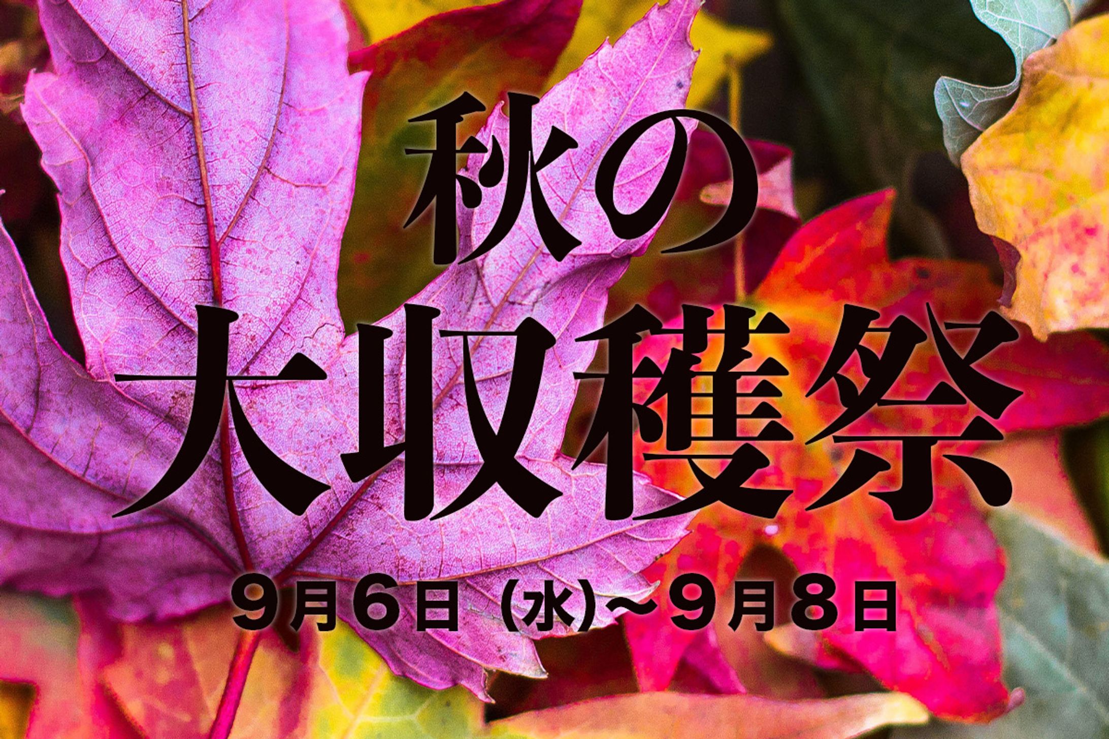 秋の大収穫祭 ３psd-1