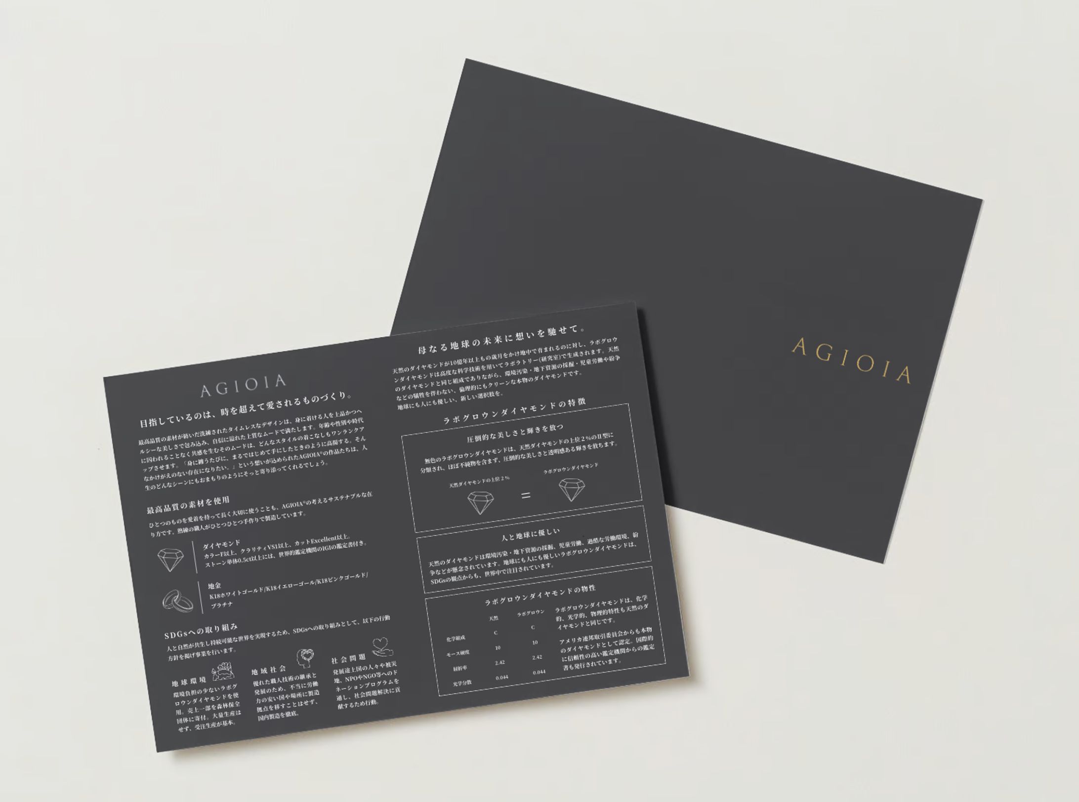 Flyer-1