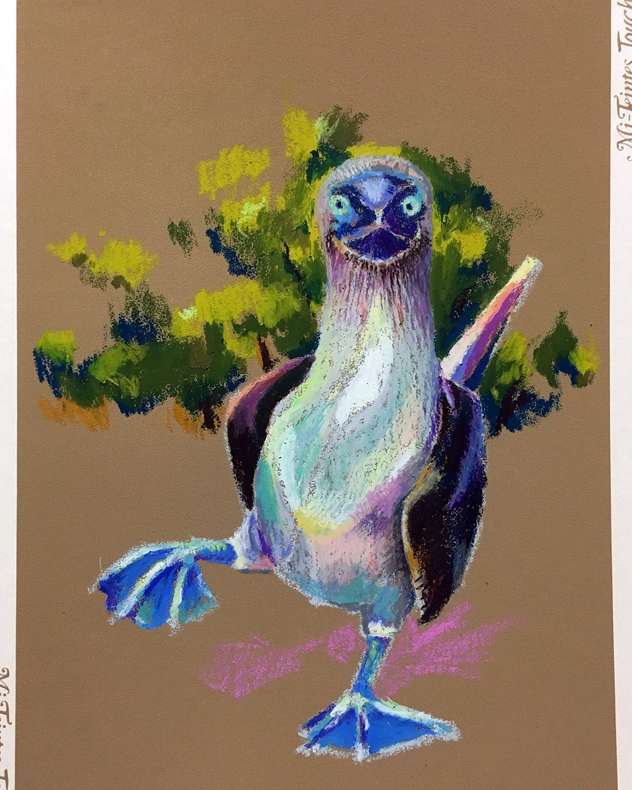 Blue-footed booby: アオアシカツオドリ-1