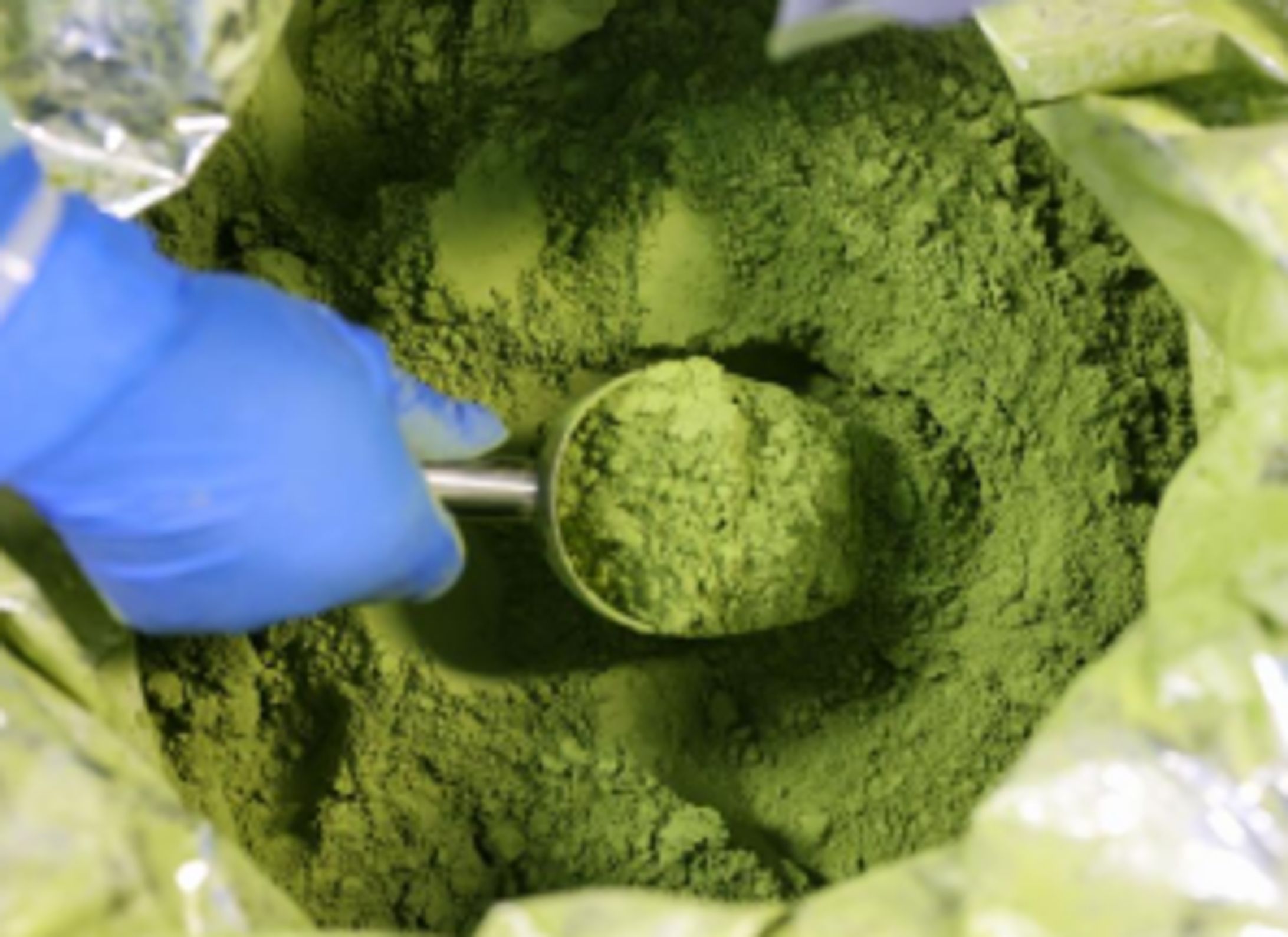 抹茶の世界市場調査：規模、シェア、成長率（2026-2032年）-1