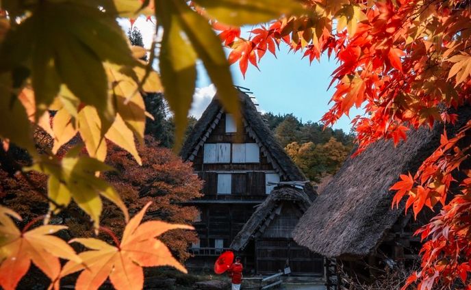 飛騨の里🍁
＊
飛騨の紅葉シーズン、今年はあっという間ですね…🥺💦
年々短くなってるように感じるのは私だけ？…🫢
＊
あちこち撮影してまわっていますが、身体がひとつじゃ追いつかない！！🏃‍♂️💨
＊
こちらの写真は、そんな合間に紅葉真っ盛りの飛騨の里にて
@hakuchuu1882 に撮ってもらった一枚✨️👘🍁
こんな切り取り方あったんや！って勉強になります🥹✨
毎回感動する！！🍁
そしてこの写真の裏側では、 @ryo7rfc1 & @kenji___10  氏がめちゃくちゃ頑張ってくれてるっていう🥺
みなさん、ありがとう！！🥺🍁
＊
飛騨の秋もあと少しで終わり、長ーい冬が始まります！⛄️
カメラ抱えて、季節を駆け抜けていきますよー！！📸💨
＊
2023.10.29
飛騨の里
Photo & Edit @hakuchuu1882 
Special thanks
@ryo7rfc1 
@kenji___10 
お三方、ありがとう！！📸
＊
❀❁❄︎❀❁❄︎❀❁❄︎❀❁❀❁❄︎❀❁❄︎❀❁❄︎❀❁❄︎❀❁❄︎

⛰岐阜県公式観光サイト🚃
『岐阜の旅ガイド』にて
@visit.gifupref 
地元レポーターあすみんとして
記事を書いております✍️

岐阜県内の素敵な場所やイベント、
人や物など、魅力的な情報を発信してまいります。
新しくできたお店や、素敵な場所の情報など、
皆さんのお気に入りを是非教えてください！🥰

岐阜の旅ガイド
『地元レポーター発！旅のコラム』はこちら↓
https://www.kankou-gifu.jp/blog/index_1____154.html 

プロフィールのURLから記事へ飛べます♪
@asumisenoue 

是非、ご覧ください♪☺️

❀❁❄︎❀❁❄︎❀❁❄︎❀❁❀❁❄︎❀❁❄︎❀❁❄︎❀❁❄︎❀❁❄︎
＊
#飛騨の景色を届けたい #飛騨のたばる箱 #gifuebooks #gifuphoto #photo_travelers #mst_photo #紅葉スポット #_photo_drive_ #岐阜県インスタ部 #ひだまるけ #photo_shorttrip #tokyocameraclub #photo_jpn #スゴ得2023秋 #visitjapanjp #japan_bestpic_ #visit_tokai #lovers_nippon #ひだジェニック #東京カメラ部 #photo_jpn #jalan_travel #飛騨高山 #hidatrip #autumn #raytrek_photo #japan_daytime_view #ritrip_nippon #sorakataphoto #nikon #飛騨の里  @hida_takayama_tourism @tobutoptours_jp