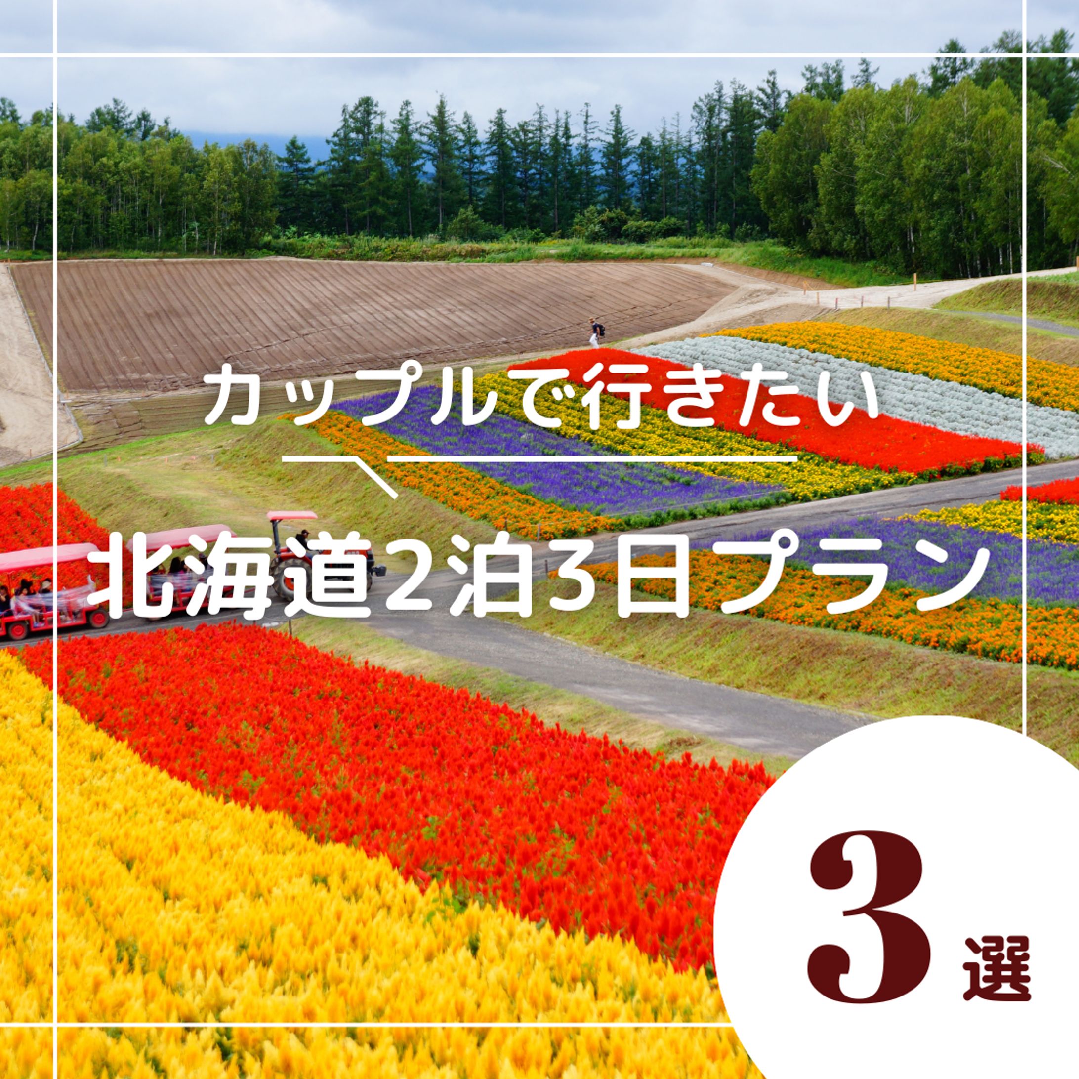 インスタ　フィード投稿（北海道二泊三日）-1