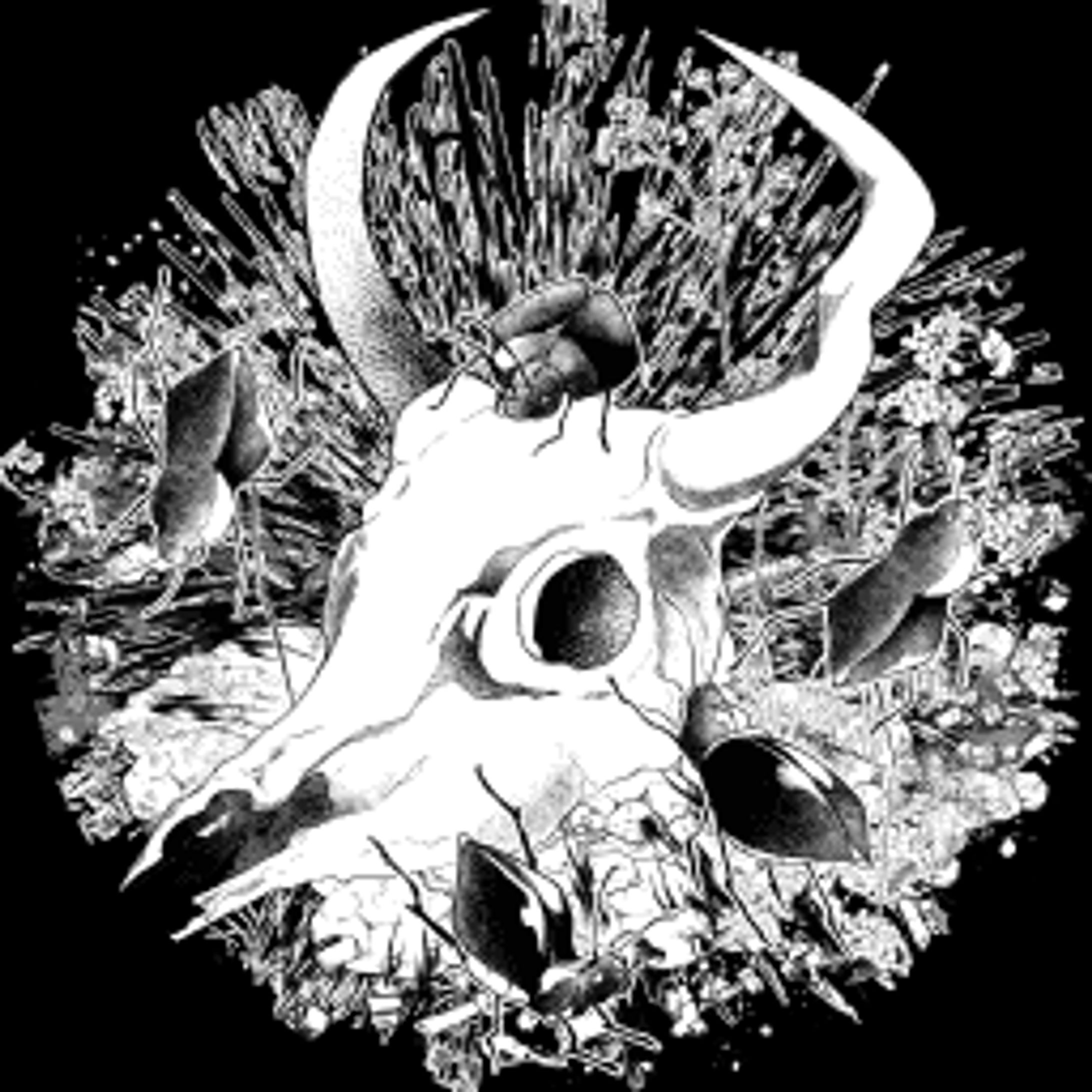 アイテム『死出虫』-1