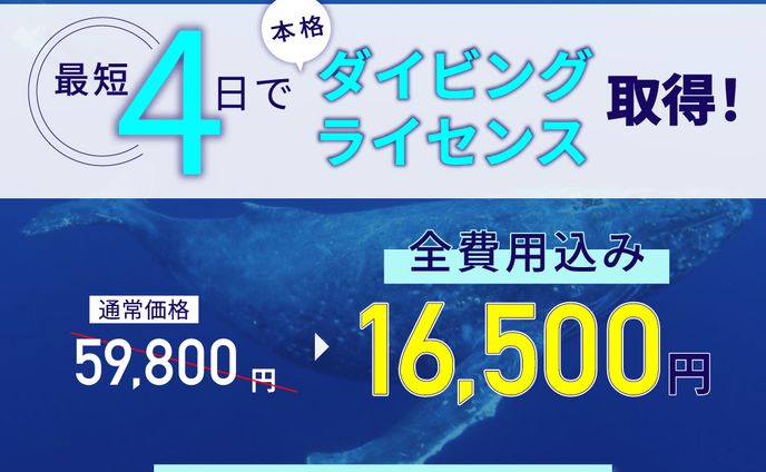 Meta広告