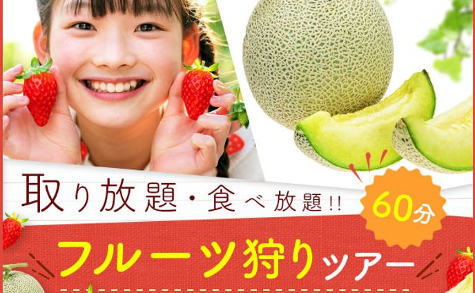 フルーツ狩りツアー案内