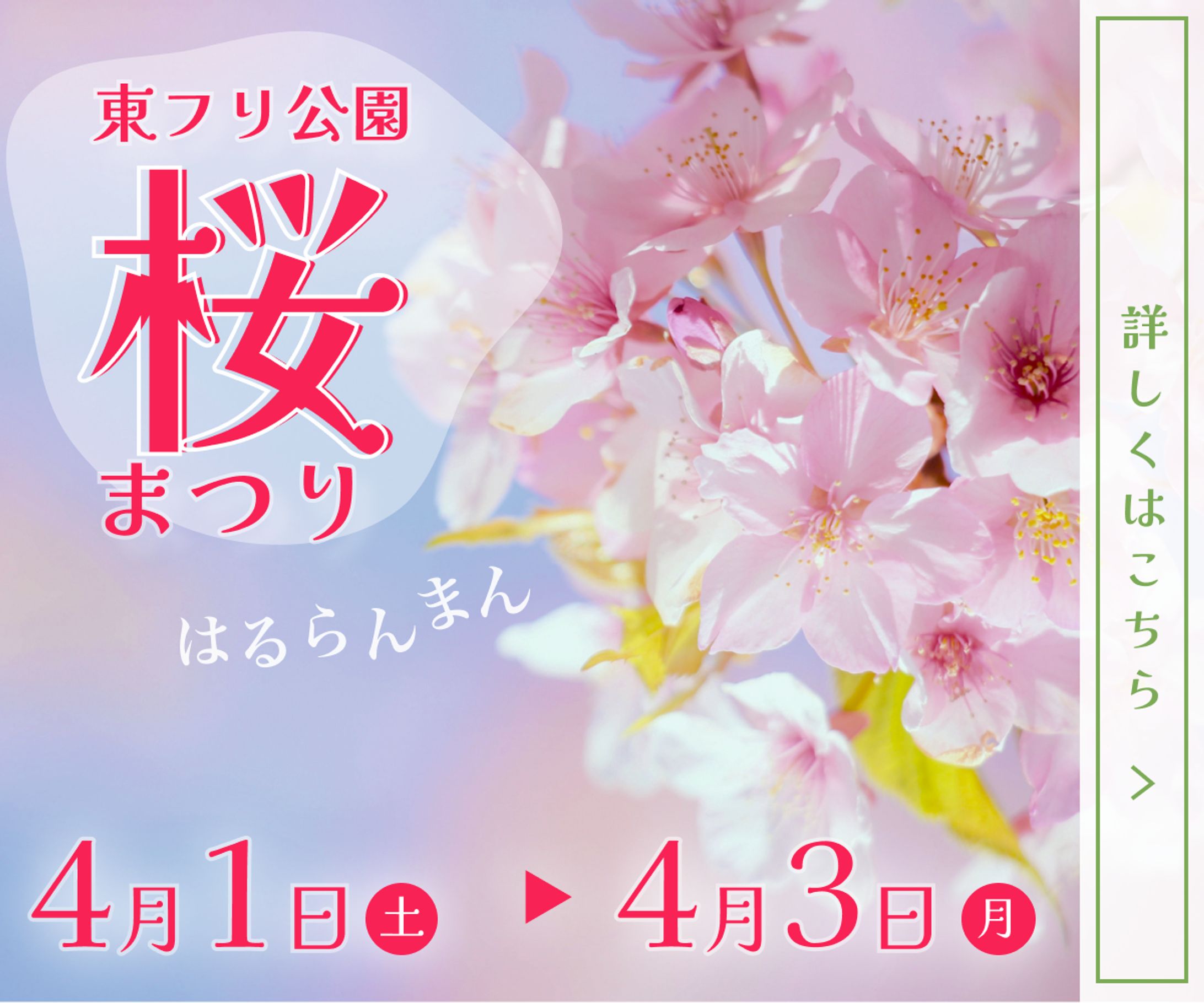 桜まつり-1