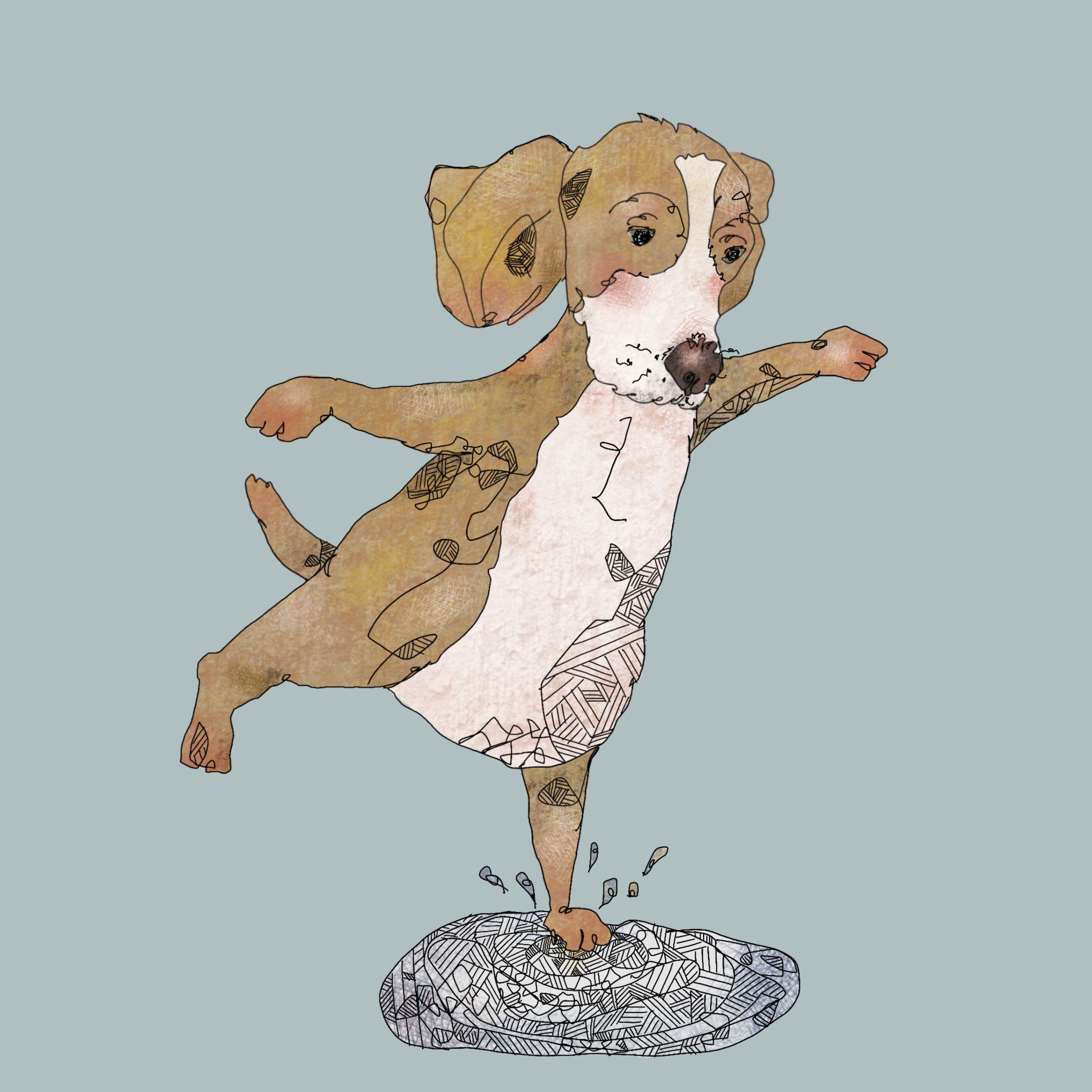 beagle-1
