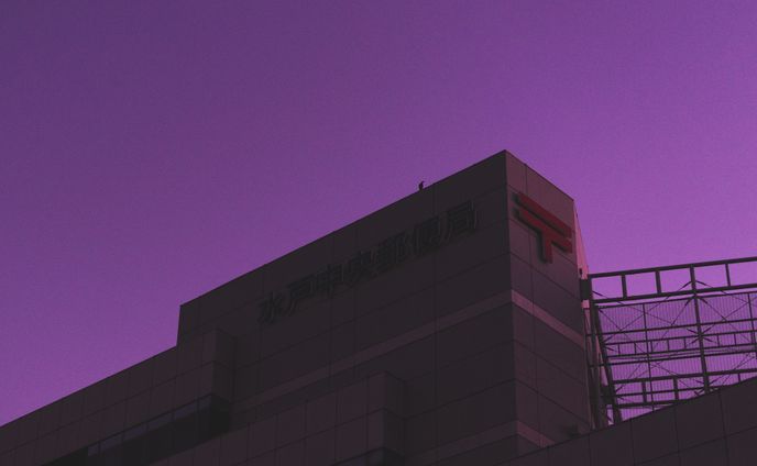 フォトグラファー、文学