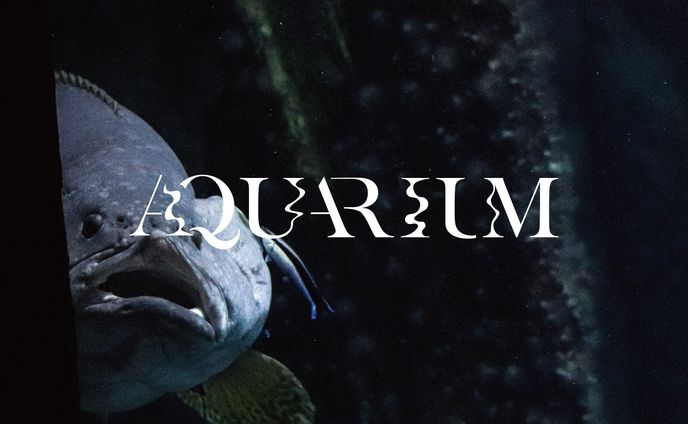 AQUARIUM🐟🐡