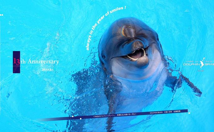 Dolphinbrain_13th Annivサムネイル