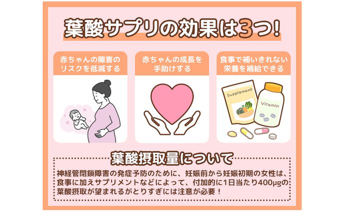 【美容メディアTest画像】葉酸サプリ記事内画像
