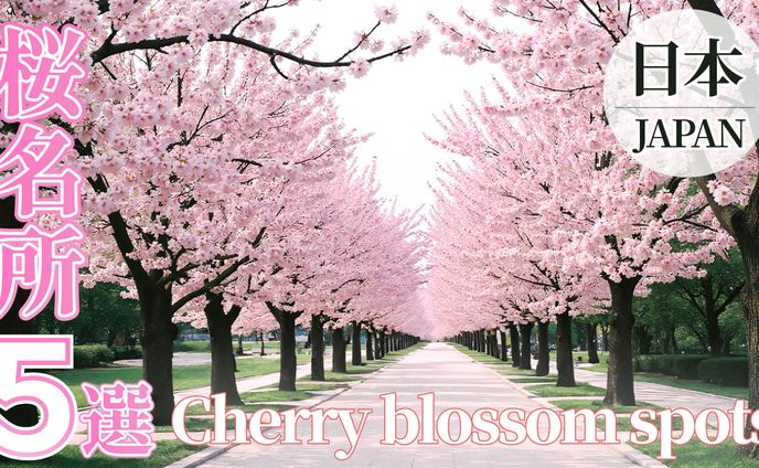 【制作実績】桜名所スポット サムネイル