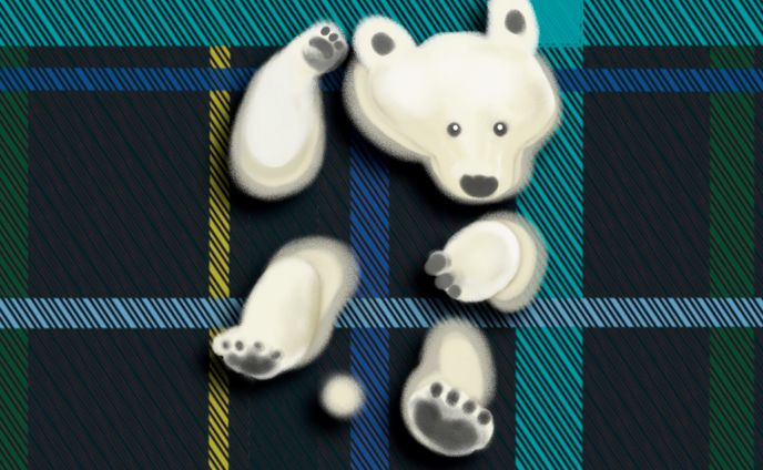 インナーシートデザイン