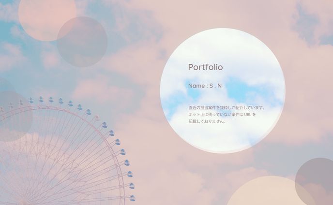 S.N_Portfolio
