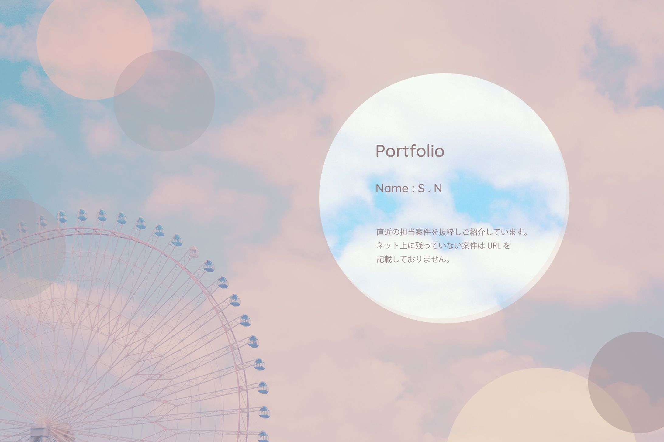 S.N_Portfolio-1