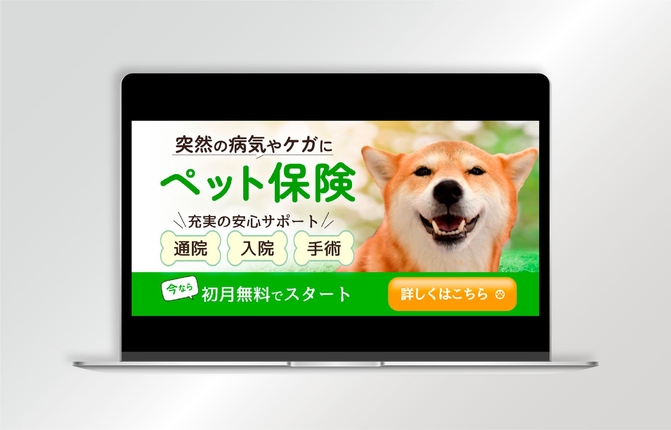 【バナー】ペット保険-1