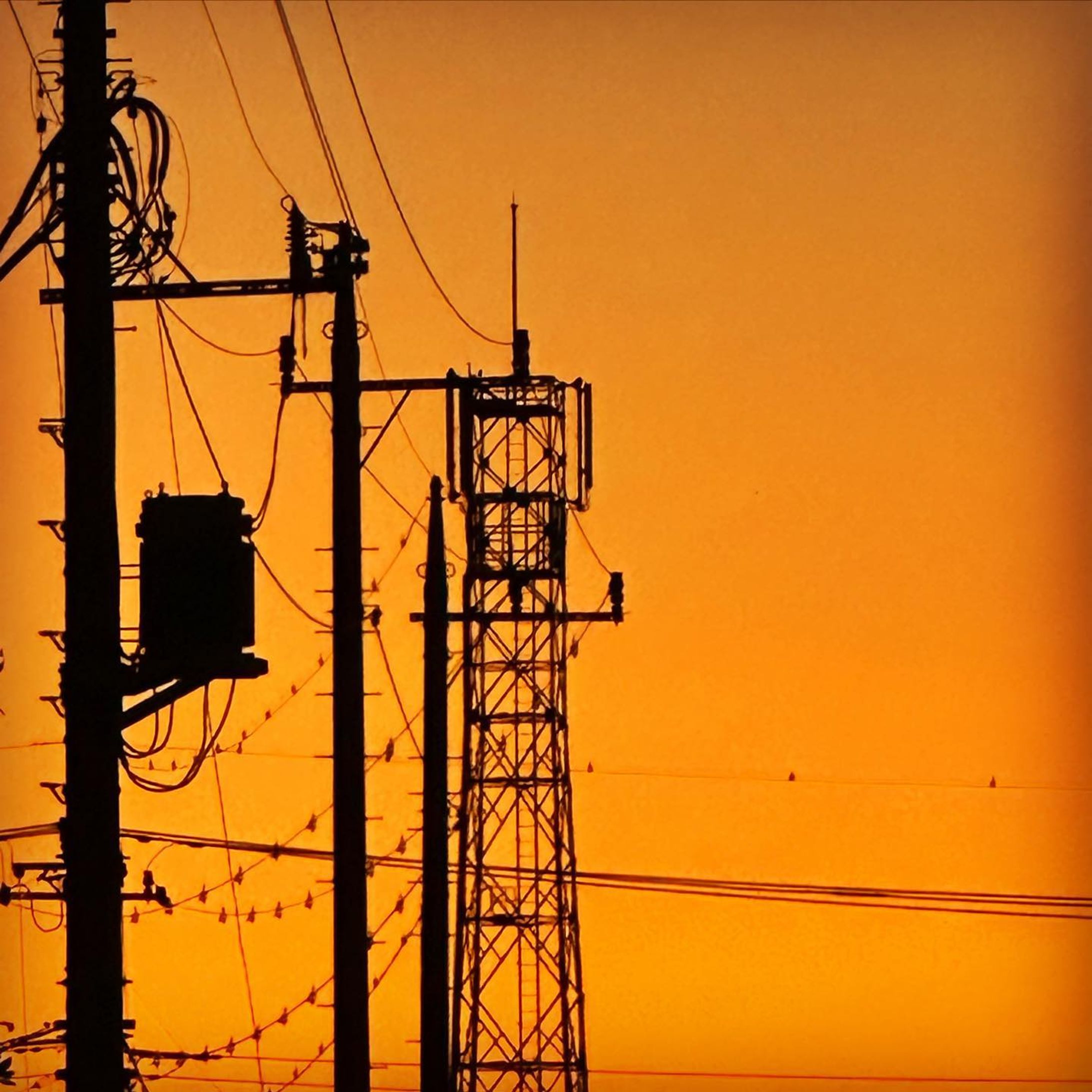 夕焼けと電線

良い夕焼けでした

#夕焼け #電線 #電柱 #鉄塔 #シルエット #オレンジ #夕方の空 #空 #ファインダー越しの私の世界 #evening #orangesky #silhouette #sunsetsky-1