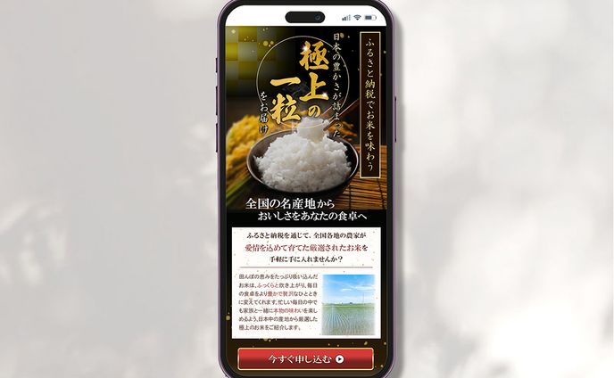 【LP FV】ふるさと納税