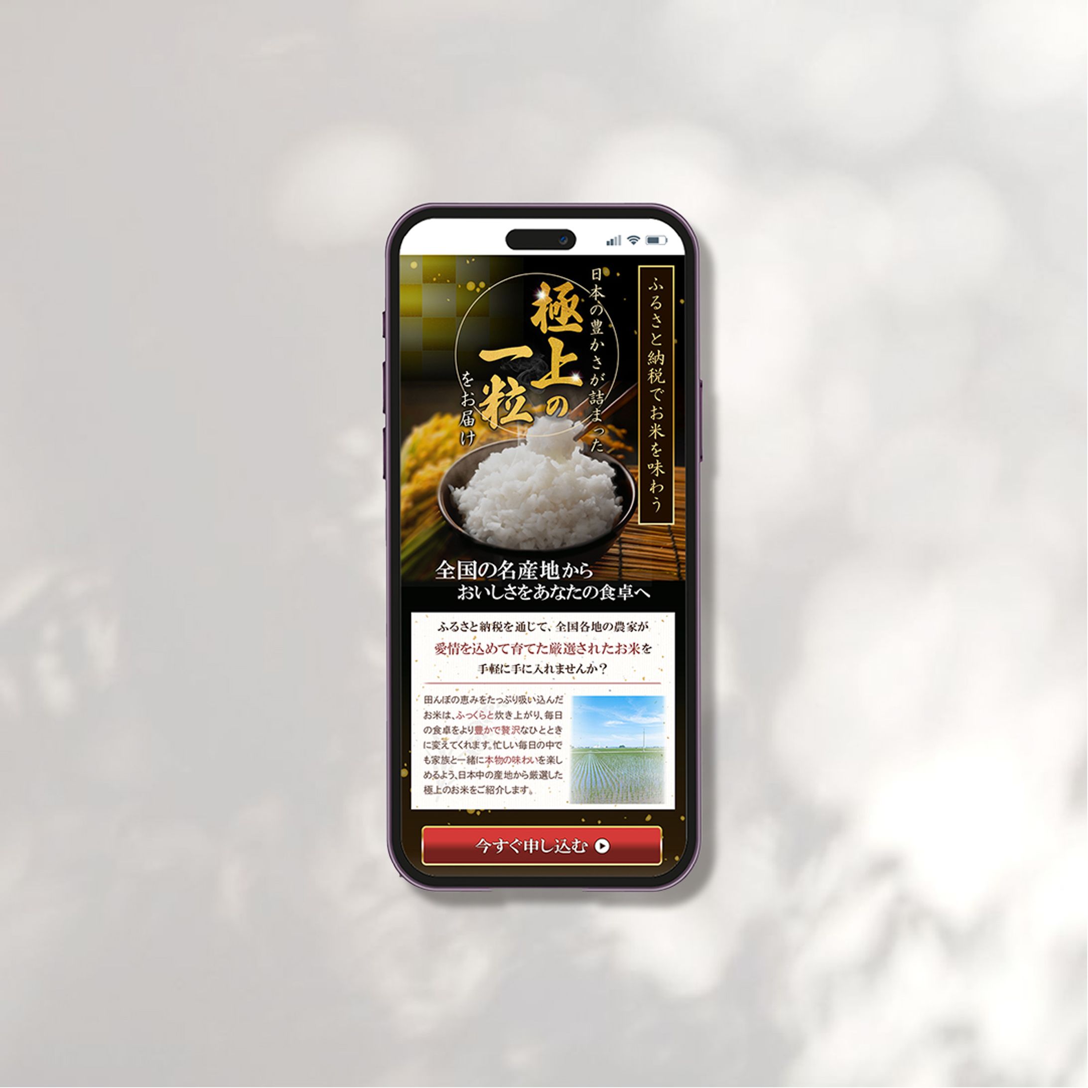 【LP FV】ふるさと納税-1