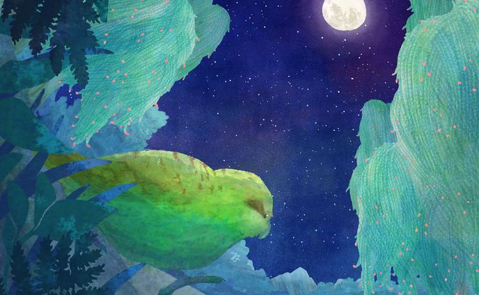 カカポと夜の森