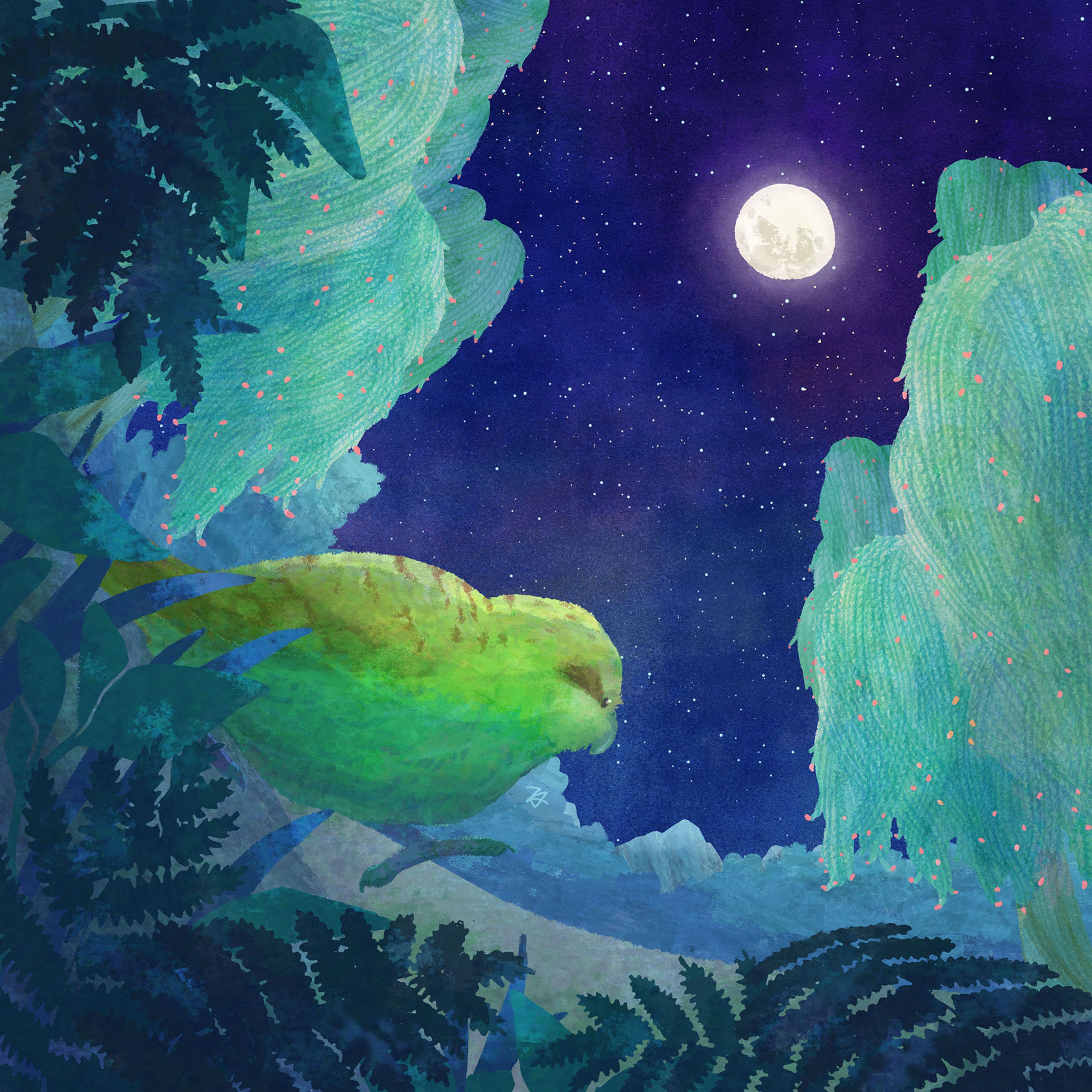 カカポと夜の森-1