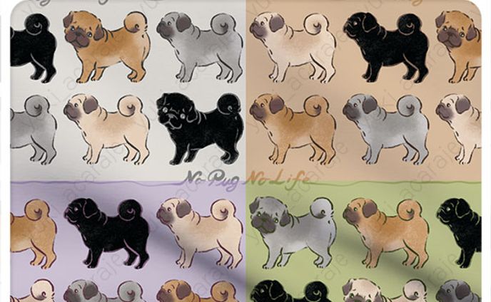 No Pug No Life