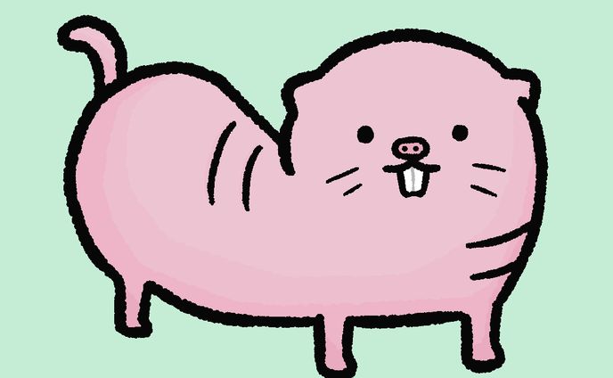 ハダカデバネズミ