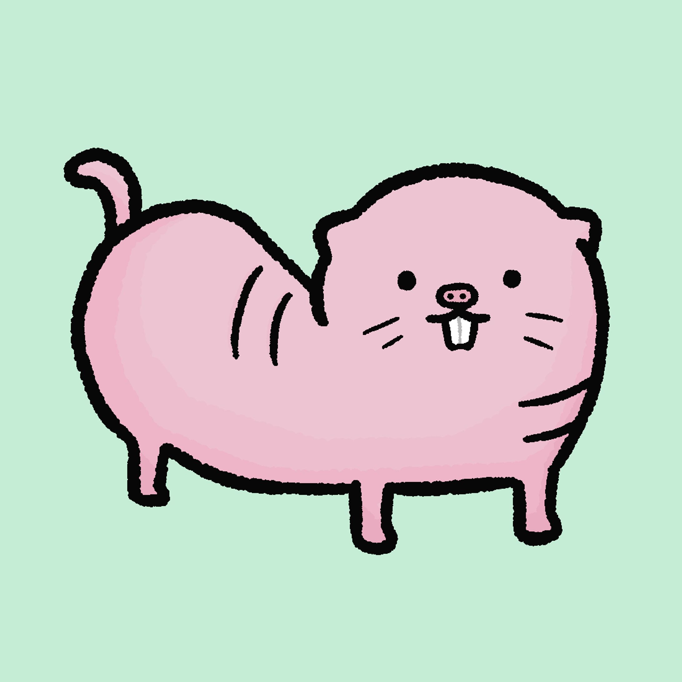 ハダカデバネズミ-1